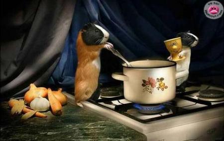 Bon lundi à tous