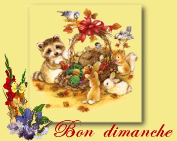 Bon dimanche à tous