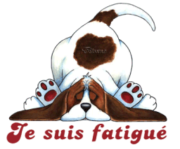 Kikou mes amis