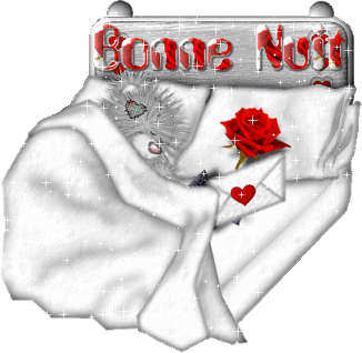 Bonne nuit mes amis
