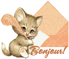 Bonjour mes amis