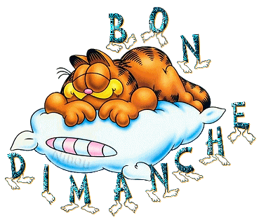 Bon dimanche à tous