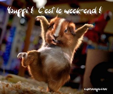 Bon vendredi et bon wk à tous