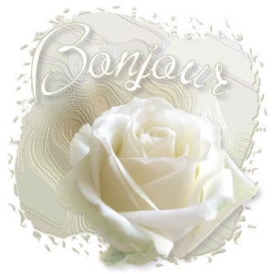 Bonjour mes amis!