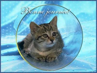 Bonne journée mes amis!