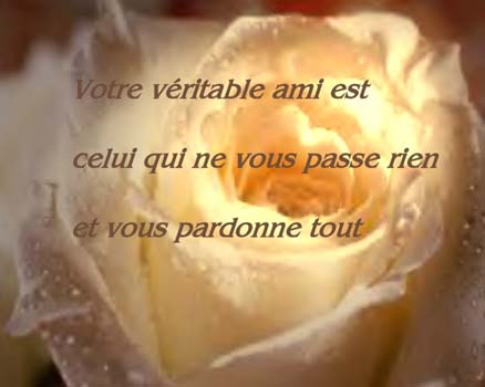 Bon mardi à tous