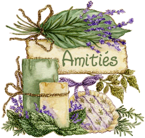 Bonsoir mes amis