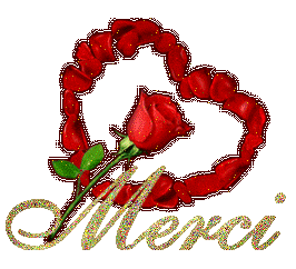 Merci a tous et toutes...