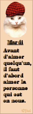 Pensée du jour heu!!! Mardi je pense lol