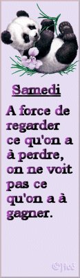 Pensée du jour lol
