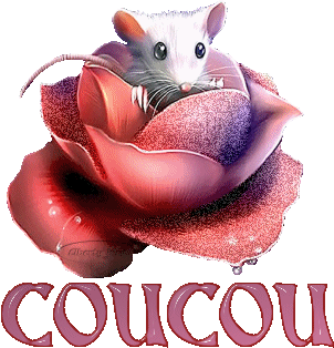 Je vous souhaite a tous un très bon mardi sous un soleil toride
