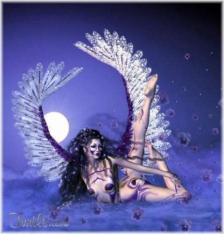 Bonsoir mes amis