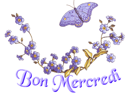 Je vous souhaite un bon mercredi