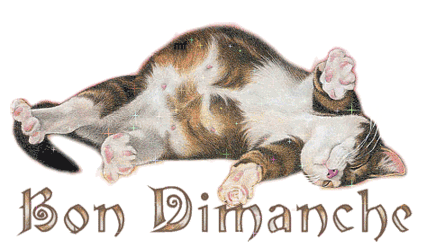kikou mes amis