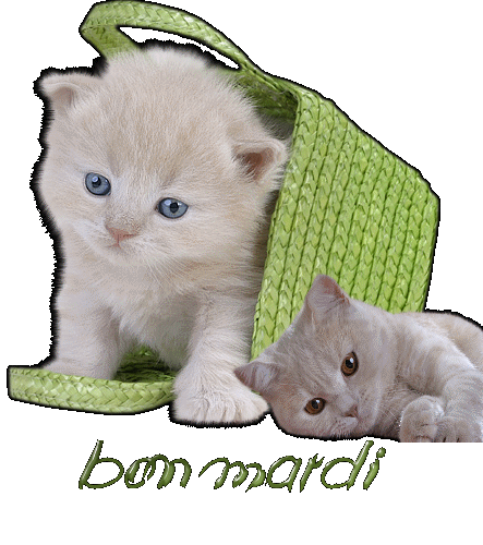 Bon mardi a tous
