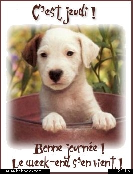 Bon jeudi a tous