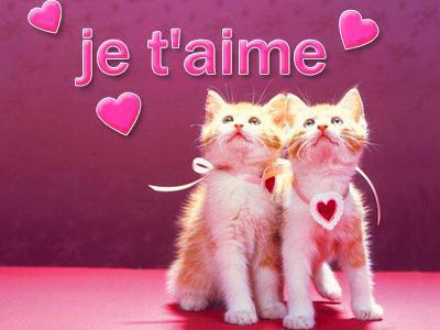 Pour toi  petite fleur!