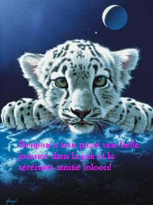 Bon mercredi a tous