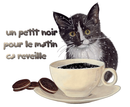 Bon mardi mes amis!