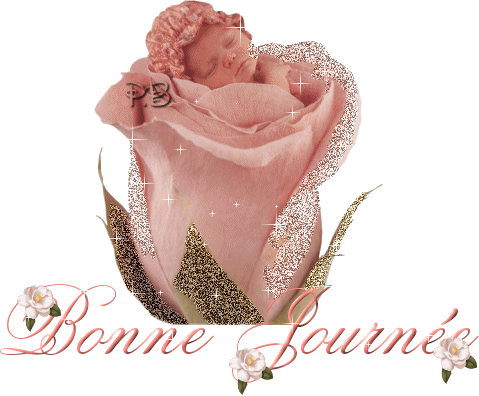 Kikou mes amis