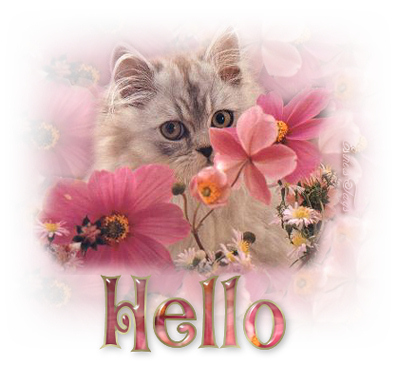Bon wk mes amis!