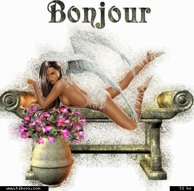 kikou mes amis