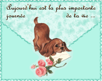 Petite pensée pour vous mes amis!