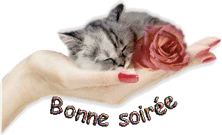 Bonne soirée a tous