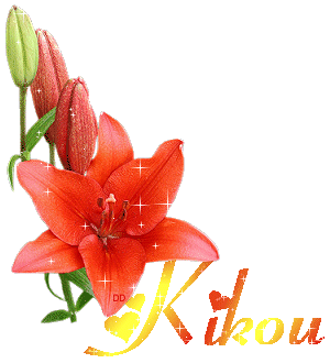 Bon samedi a tous