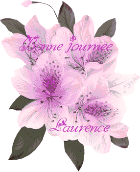 Bonne journée a tous