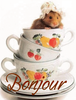 Bon dimanche à tous!