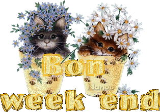 bon wk à tous
