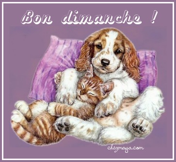Bon dimanche à tous
