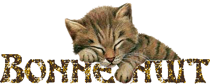 Bonne nuit à tous!