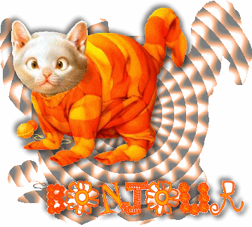 Bonjour mes amis!