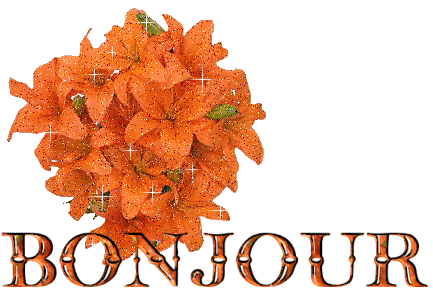 Kikou mes amis!