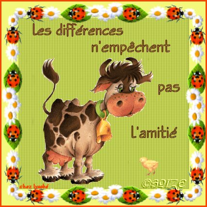 Bonne journée à tous