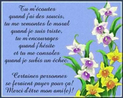 Merci mes amis