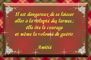 Bonjour mes amis