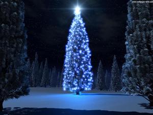 La beautée de noel!